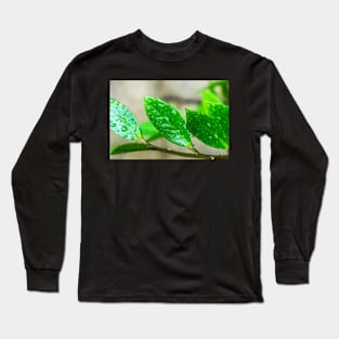 GREEN LEAVES Long Sleeve T-Shirt